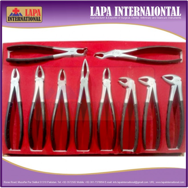 Extraction Forcep En...