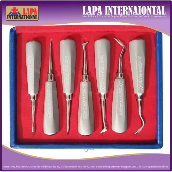 Root Elevator Premiu...